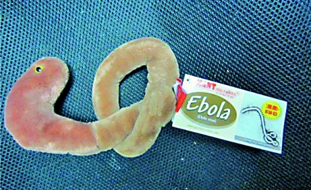 埃博拉病毒形状的毛绒玩具