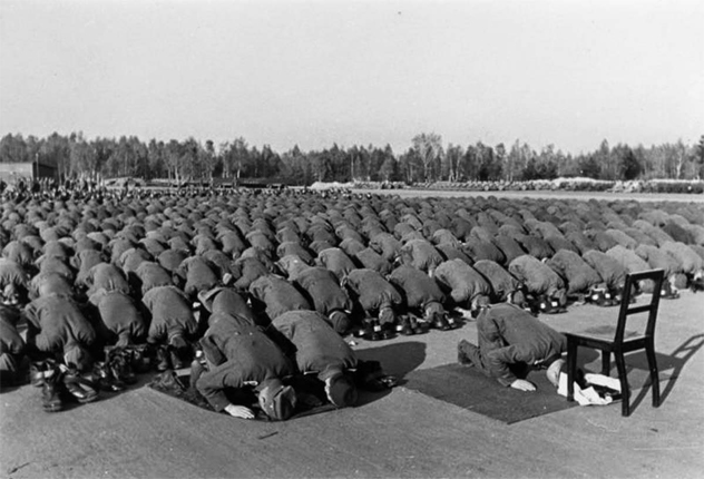 加入纳粹党卫军的穆斯林士兵