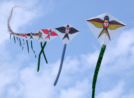 高中英语作文模板 第6期:放风筝 Flying Kites