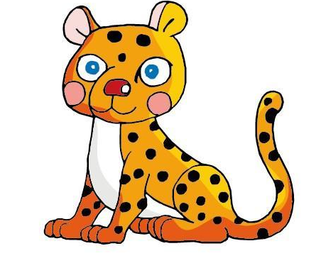 leopard.png