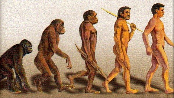 人类由类人猿进化而来