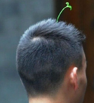 The issuance of "bean sprouts" has swept Chengdu.jpg