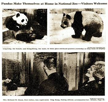A Brief History of Panda Diplomacy.jpg