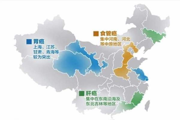 资料图：癌症发病地域分布特点 来自2012中国肿瘤登记年报.jpg