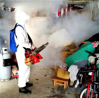 Taiwan’s Dengue Fever Cases Soar More Than Ten Thousands of People are Sick.jpg