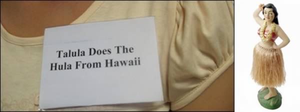 9岁的小女孩得到准许改掉她原来的名字“来自夏威夷跳呼拉舞的塔鲁拉”