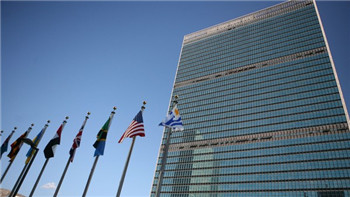 Experts divided over value of UN sustainable development goals.jpg