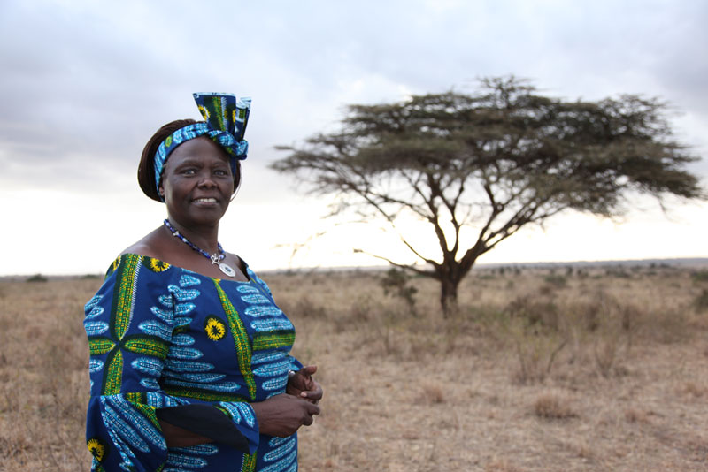 Wangari Muta Maathai.jpg