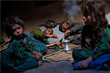 阿富汗鸦片产量今年减少48%