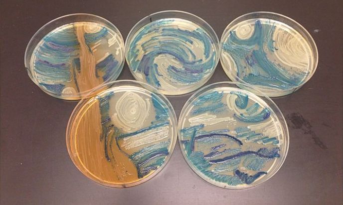 Scientists’ Alternative Art: Bacteria Painting (multiple pictures).jpg