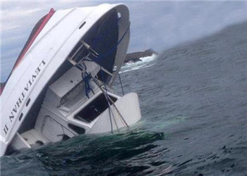 一艘观鲸船在加拿大沿海沉没 五人丧生.jpg
