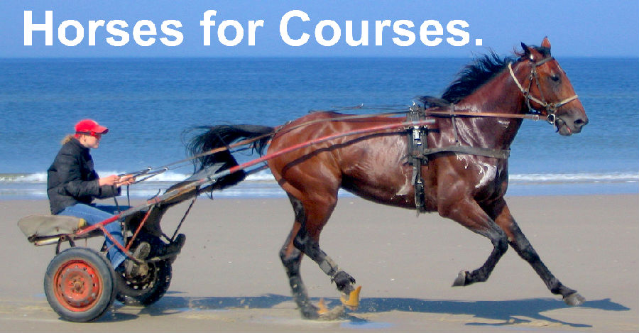 Horses for courses..png