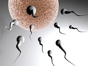 The introduction of the "two-child policy" may cause more strain on sperm bank resources.jpg