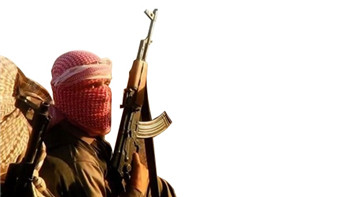 United States There is no reliable information to confirm that IS will attack the United States, France and other countries.jpg