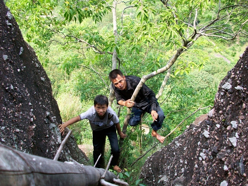A Henan university student was sentenced to ten years in prison for digging out a bird's nest! .jpg