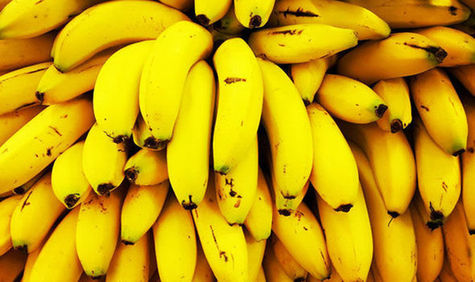 Panama disease is back, and bananas around the world are in catastrophe.jpg