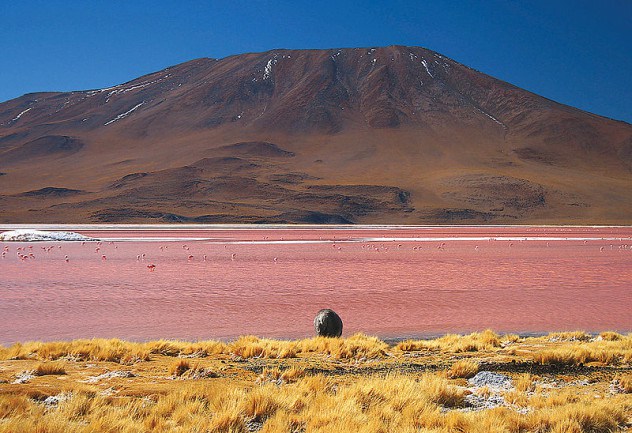 红湖（科罗拉达湖）——玻利维亚