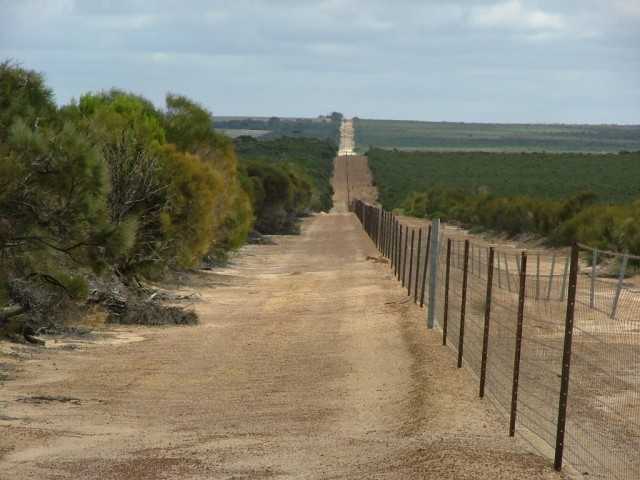 澳大利亚兔子隔离墙