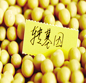 台湾出台新规:转基因食品强制退出校园