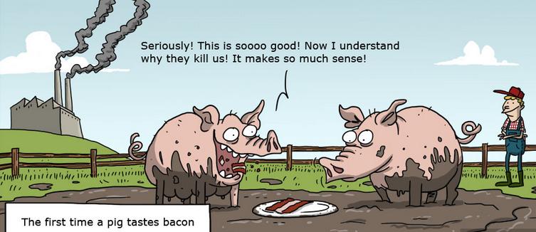 Bilingual Joke Issue 177: Pig and Bacon.jpg