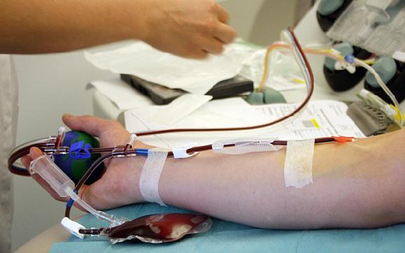 The United States allows homosexual men to donate blood but must be "abstinent" for 12 months.jpg