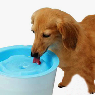 狗狗喝水.jpg