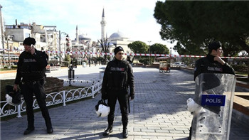土耳其爆炸致10死15伤 Suicide bomber brings carnage to Istanbul tourist district.jpg