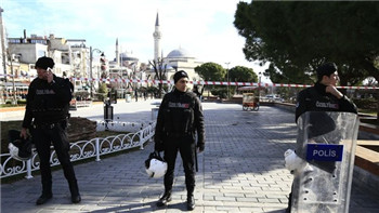 Turkey bombing caused 10 deaths and 15 injuries. Suicide bomber brings carnage to Istanbul tourist district.jpg