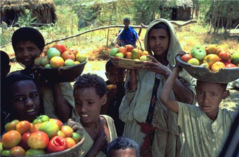 埃塞俄比亚看好中国因素 Ethiopian industry: still banking on China.jpg