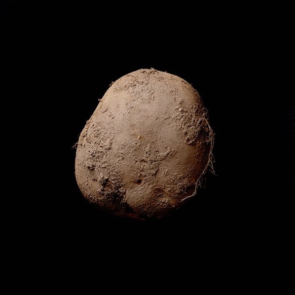 这张土豆照卖了100万欧元.jpg