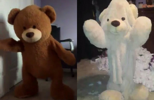 网络新潮流：穿着泰迪熊跳舞.jpg