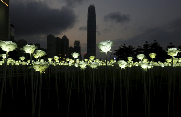 A sea of ​​roses shines on Hong Kong Valentine’s Night.jpg