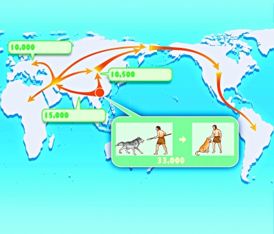 家犬全球迁徙图.jpg