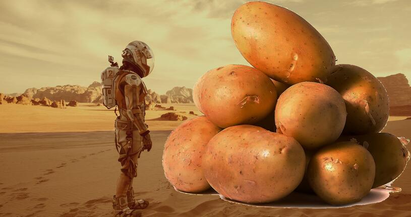 美国航天局模拟在火星上种土豆.jpg