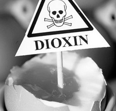 Due to changes in dietary patterns, China is facing an increasing risk of carcinogenic dioxin.jpg