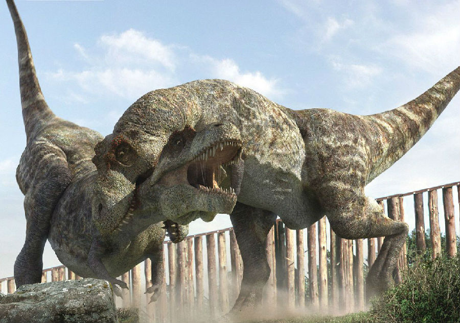 那么哪种恐龙的牙齿最长呢