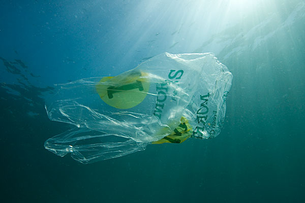 2050年海洋中塑料将会超过鱼类重量