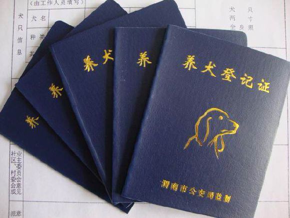 Shaoxing dog-raising introduces the driver’s license management system to deduct a full 12 points and can’t raise a dog? .jpg
