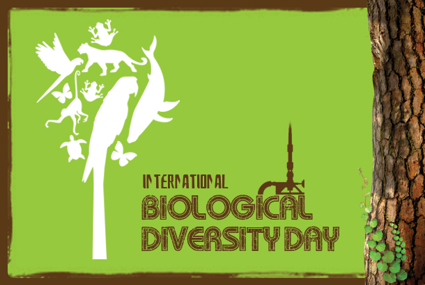biological-diversity-day.jpg