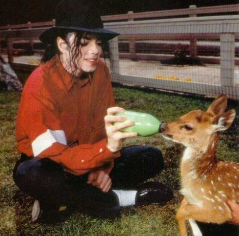 迈克尔·杰克逊所养的动物都抵得上一个动物园了