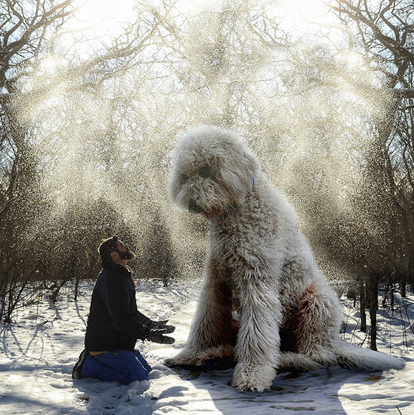 The big dog photographer turned his dog into a giant .jpg