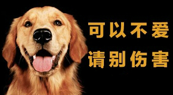 爱狗人士呼吁禁止广西玉林狗肉节