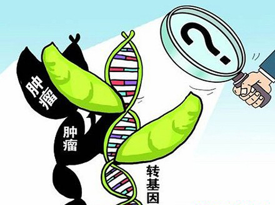 政府人员:中国拥有全球最严格的转基因安全标准