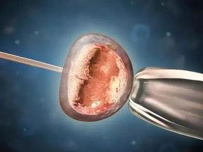 我国成功实现世界首次哺乳动物胚胎太空发育