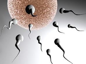 Sperm donors from Chongqing Sperm Bank are in an endless stream. Only 24% meet the standard.jpg