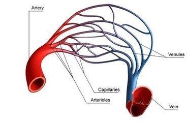 coupleofthingsyou"llnotice  you"llseethatthereare   nuclei  so