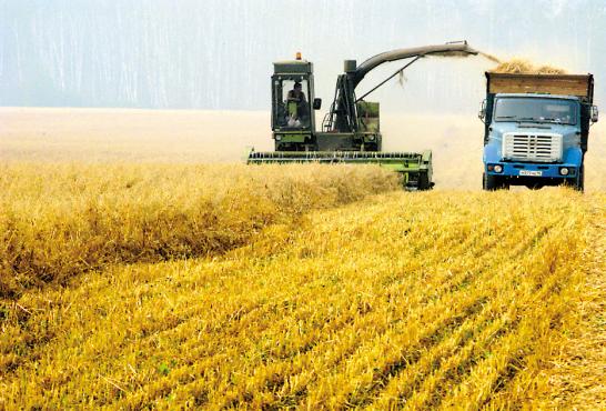 Russia will focus on strengthening cooperation with China in agriculture.jpg