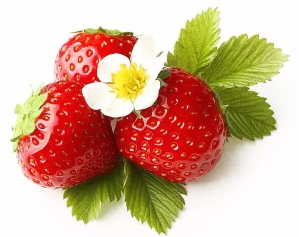 草莓季节.jpg