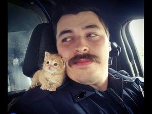 A police officer in the United States took the kitten to patrol the popular Internet .jpg