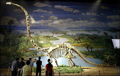 恐龙化石.jpg